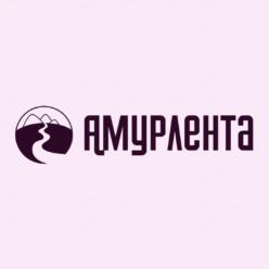 Новости Амурской области